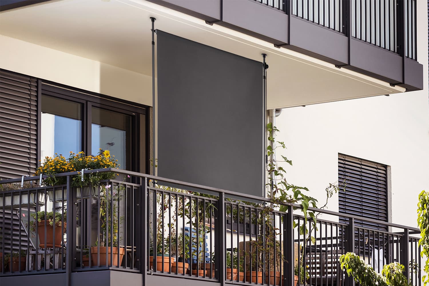 Seiten-Klemmmarkise / Außenrollo, Privacy Screen